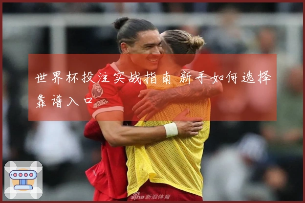 世界杯投注实战指南 新手如何选择靠谱入口