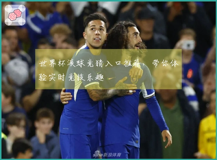 世界杯滚球竞猜入口推荐，带你体验实时竞技乐趣