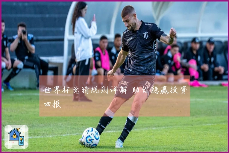 世界杯竞猜规则详解 助你稳赢投资回报