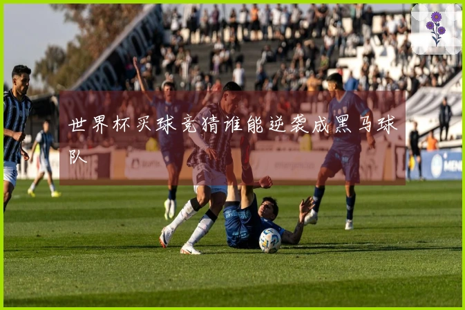 世界杯买球竞猜谁能逆袭成黑马球队