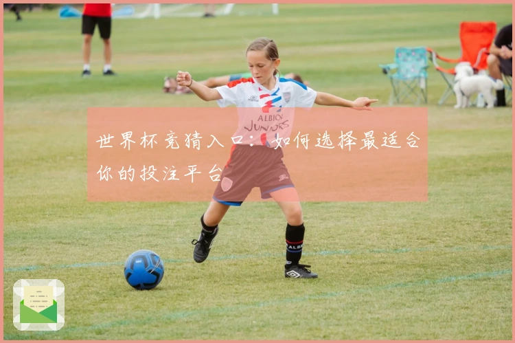 世界杯竞猜入口：如何选择最适合你的投注平台