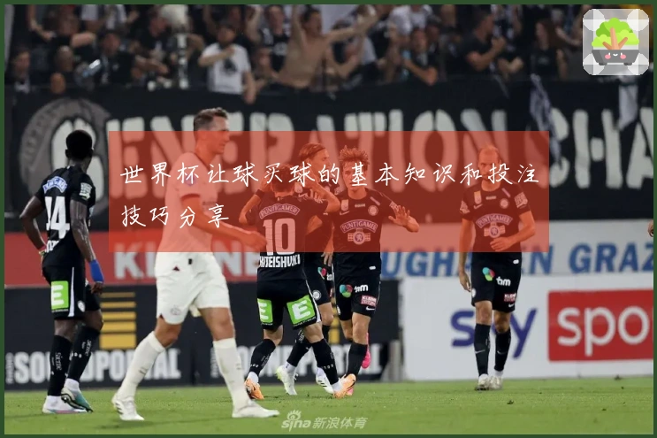 世界杯让球买球的基本知识和投注技巧分享