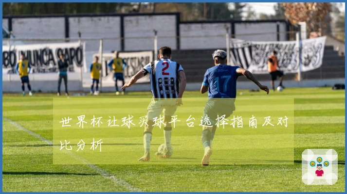 世界杯让球买球平台选择指南及对比分析