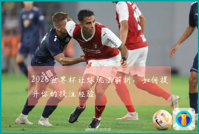 2026世界杯让球玩法解析，如何提升你的投注经验
