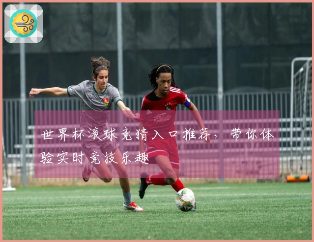 世界杯滚球竞猜入口推荐，带你体验实时竞技乐趣